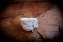 Horse Kirsten Bowl, Special Handmade Horse Kirsten Bowl Meerschaum Pipe- Astaş Meerschaum