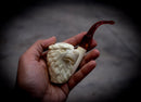 Special Handmade Eagle Patterned Meerschaum Pipe With Leather Box- Astaş Meerschaum